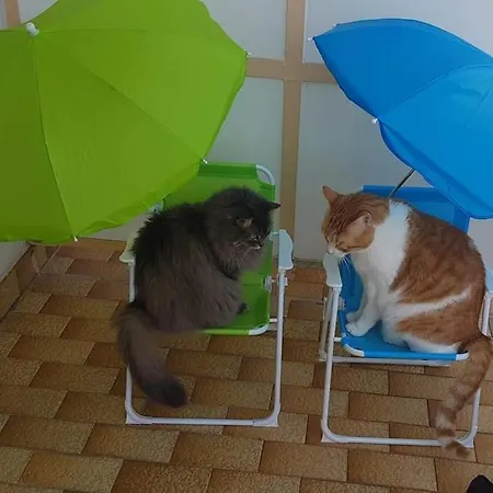 Il Paradiso Del Relax Private With Bathroom Parking