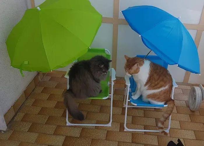 Il Paradiso Del Relax Private With Bathroom Parking